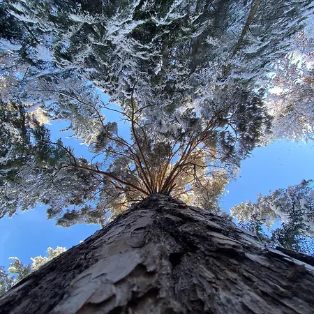 Haus Bergkristall - Schneider Seefeld in Tirol