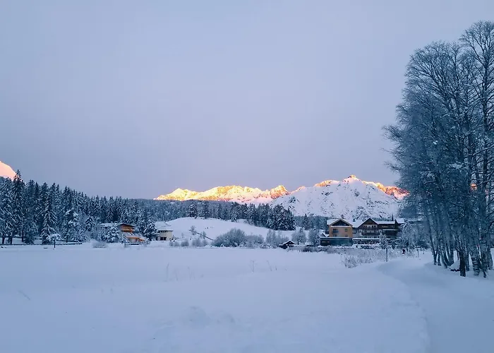 Appartement Haus Bergkristall - Appt. Schneider Seefeld in Tirol