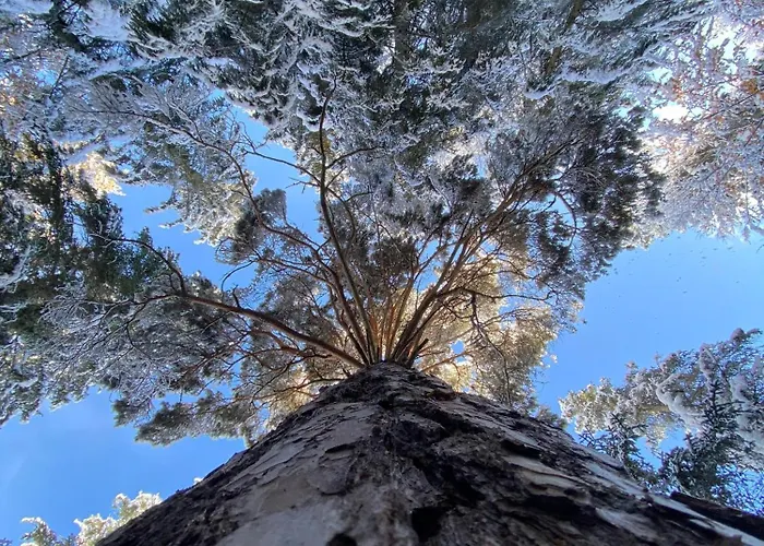 Haus Bergkristall - Appt. Schneider Зефельд-ін-Тіроль